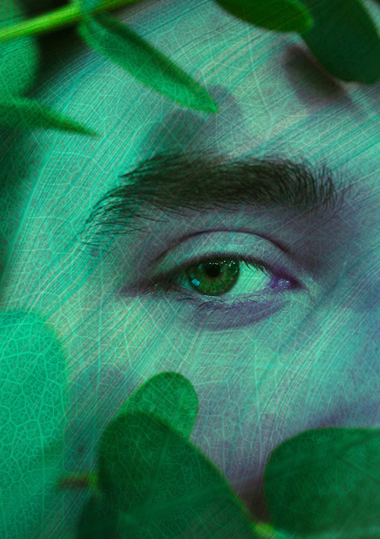 Moving beyond Sustainability