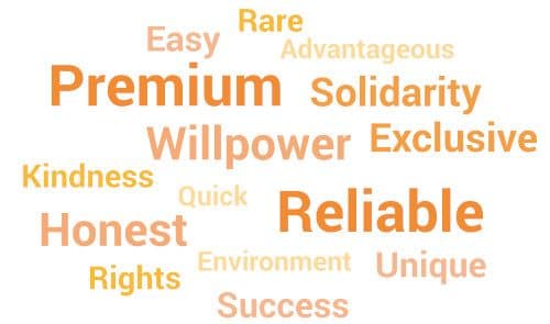 Target Insights in the Financial field - Case Study